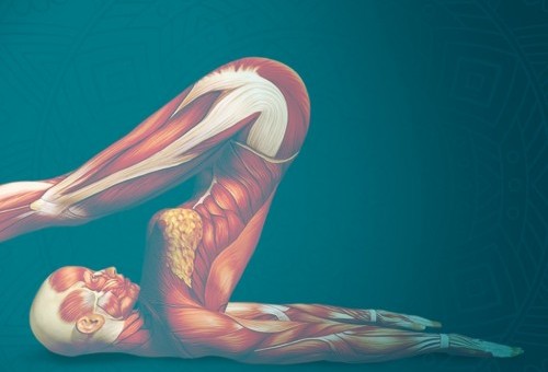 Nagrania Anatomia Jogi z Moniką Salitrą