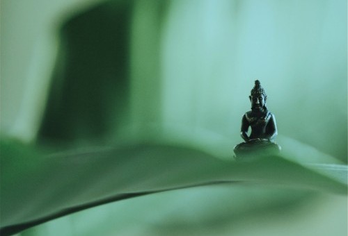 Szkolenie online. Filozofia jogi.